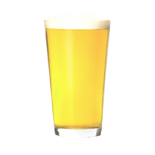 Surly Grapefruit Supreme (355ml)