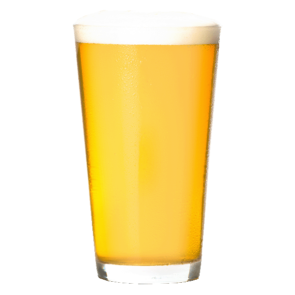 Surly One Man Mosh Pit (355ml) / ワンマン モッシュピット