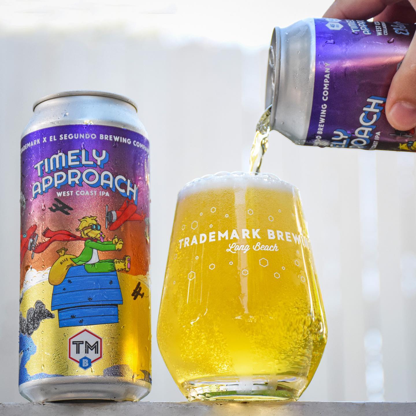 Trademark Brewing Timely Approach WC IPA (473ml) / タイムリーアプローチ