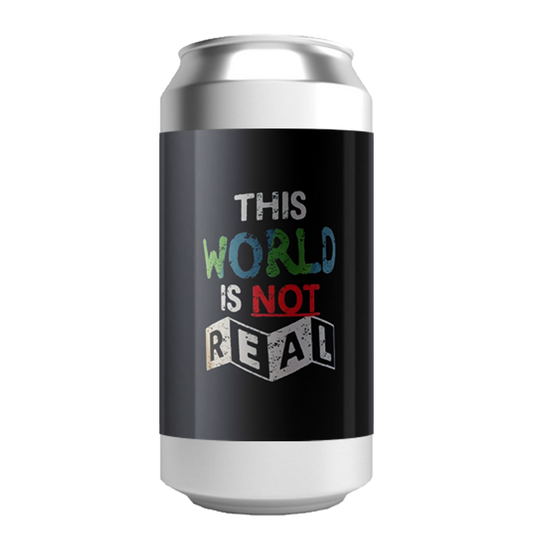 The Veil This World is Not Real / ジスワールド イズ ノット リアル