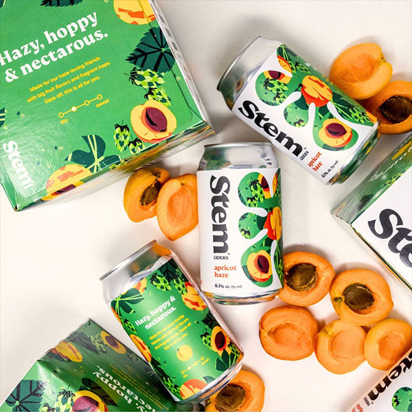 Stem Ciders Stem Ciders Apricot Haze (355ml) / アプリコット ヘイズ