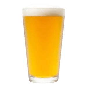 21st Amendment Brewery Brew Free! Or Die IPA (355ml) / ブリュー フリー オア ダイ IPA