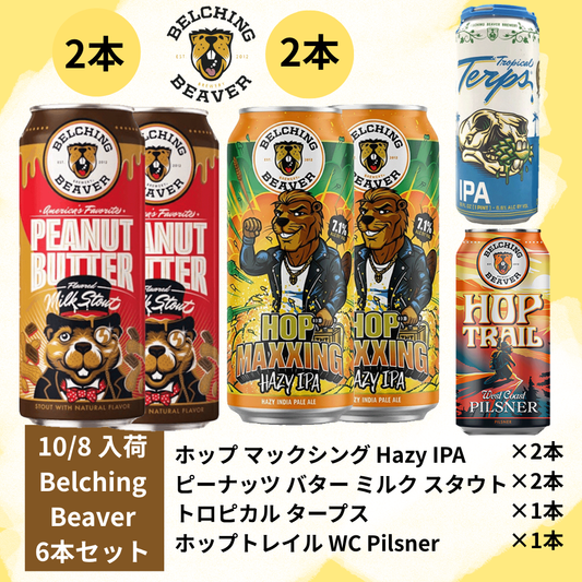 Sierra Nevada Limited Edition 6-bottle set of 3 classic varieties
