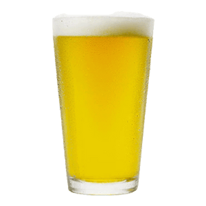 21st Amendment Brewery El Sully Mexican style Lager (355ml) / エルサリー