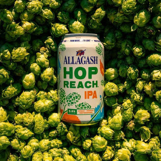 Allagash Brewing Company Hop Reach IPA (355ml) / ホップリーチ