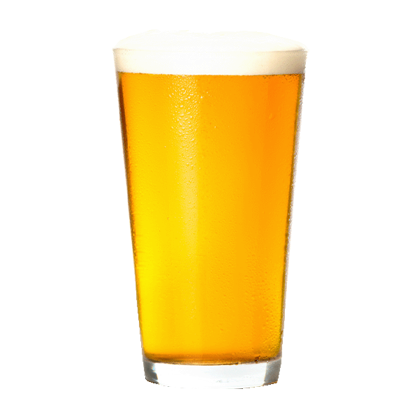 Surly Logic Bomb (355ml) / ロジック ボム