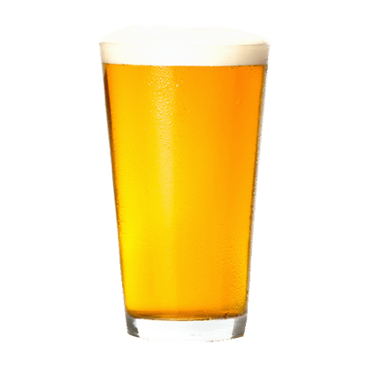 Surly Logic Bomb (355ml) / ロジック ボム