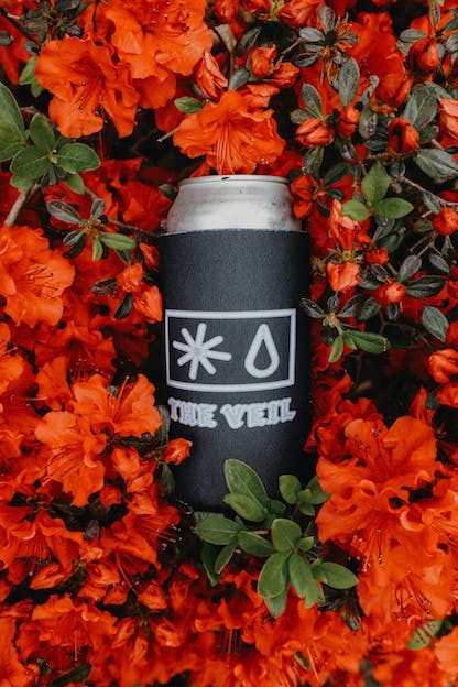 The Veil - The Veil Koozie - The Veil Made Me Do It