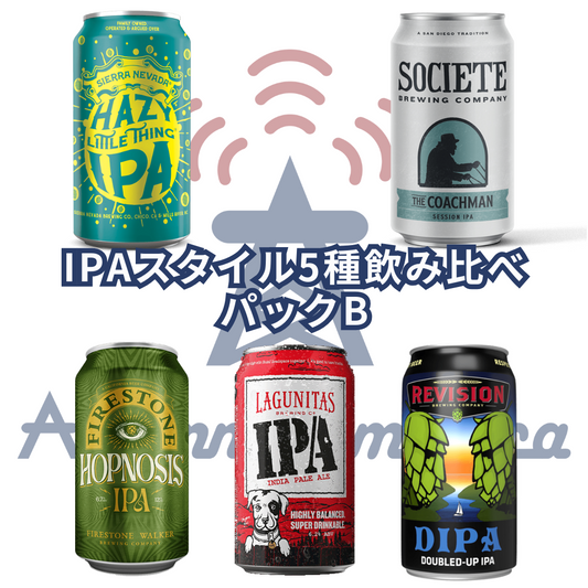 IPAスタイル5種飲み比べパックB