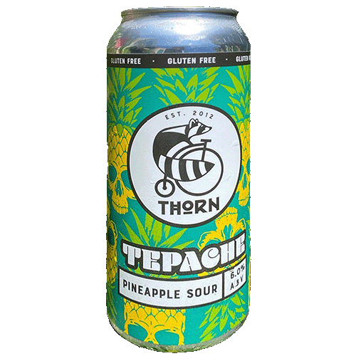 Thorn Tepache Sour Ale / テパチェ サワーエール