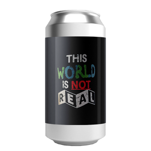 The Veil This World is Not Real / ジスワールド イズ ノット リアル