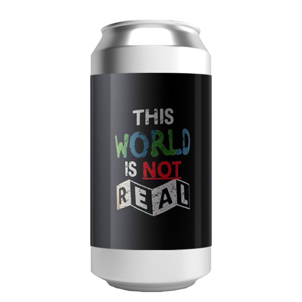 The Veil This World is Not Real / ジスワールド イズ ノット リアル
